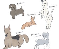 ペット、動物のイラスト描きます イメージ1
