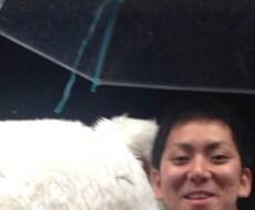 普段周りに言えない話や秘密など電話で何でも聴きます イメージ1