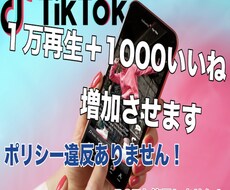 TIKTOK1000いいね+1万再生まで増やします イメージ1