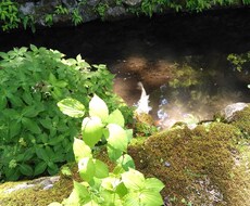 本当は何をしたいか見つける相談に乗ります イメージ1