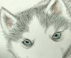 可愛いペットのイラスト描きます イメージ1