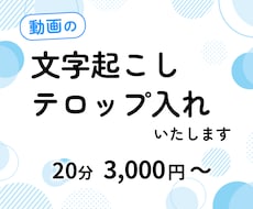 カット済み動画に字幕を入れて納品します イメージ1