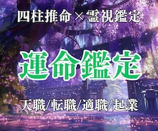 四柱推命と霊視鑑定であなたの運命を解き明かします 【初回限定価格】人生 仕事 恋愛 結婚 運命
