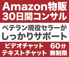 Amazon物販を30日間サポートします 現役セラー兼Udemyベストセラー講師が支援します