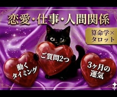 恋愛＆仕事♥️質問２つ タロット×算命学で占います 24時間内✳10月末迄1000円✳2500字｜片思い 転職