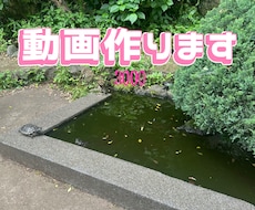 動画編集します TikTok、インスタ、YouTube動画編集します。