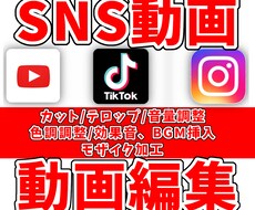 YouTube等各種SNSの動画を編集します イメージ1