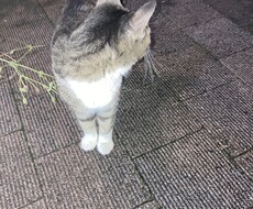 なんでも相談にのります イメージ1