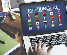 海外のワードプレスのプラグインを翻訳します イメージ1