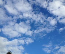 写真鑑定します。人物のみます イメージ1