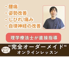 理学療法士（国家資格）がオンラインレッスン致します リハビリ/痛み改善/姿勢改善/個別運動/パーソナル行います
