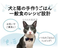 犬と猫の手作りレシピ(一般食)を作成いたします イメージ1