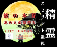 精霊スピリット霊視｜引き寄せ｜彼の本音を霊視します 彼の本心を知りたい！高次元宇宙から恋の現在地を読み解きます