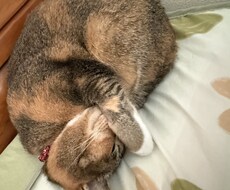 仕事の悩み相談愚痴など沢山聞きます イメージ1