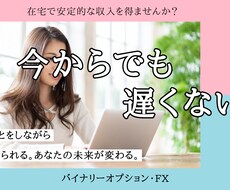 4ページ目）バイナリーオプションの相談、ツールが買えるサイト | ココナラ