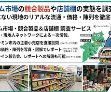 ベトナム市場の競合製品や店舗棚の実態を調査します ネットにない現地のリアルな流通・価格・陳列を徹底レポート