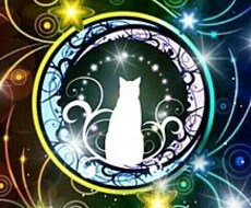 タロットカード、オラクルカードの両方で占います あなた様が今抱えている、悩みをカードを使って手助けします！