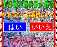 あなたのお悩みに「はい」「いいえ」で明確に答えます ☯二拓選択易占☯東洋最古最長最大最強が全身全霊全力尽力です☯