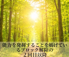 能力を発揮できるよう整えますの2回目以降を行います 能力を発揮することを妨げているブロックが取り切れてない方対象