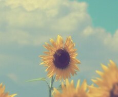 話すだけ、それだけで心の状態は変わります イメージ1