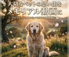 ペットの思い出メモリアル動画作りますます イメージ1