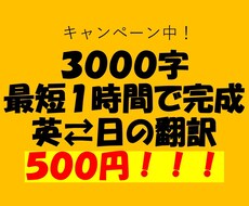 安く早く。とにかくどんな媒体でも翻訳します スピーチや、情報商材、動画など幅広い翻訳を行います