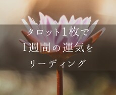 タロット1枚で週間の運気をリーディングします イメージ1