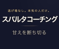 スパルタのコーチングを行います イメージ1