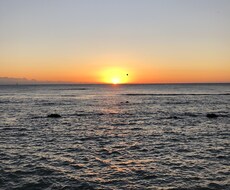 あなたのこと全力で褒めます イメージ1
