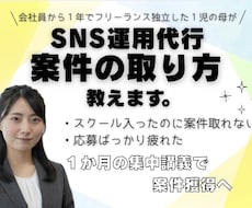 SNS運用代行の仕事の取り方教えます イメージ1