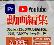 YouTube動画の動画編集をいたします イメージ1