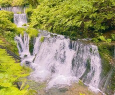 夫婦で悩み事や、恋愛相談のります イメージ1