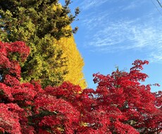 現在抱えている悩みに寄り添います イメージ1