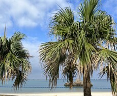 沖縄のキレイな景色を代行て撮影します イメージ1