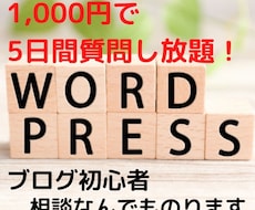 ブログ初心者の相談に乗ります アドセンス、収益化、SEOなどのコツを教えます！