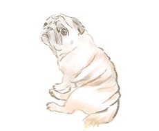 ペットの似顔絵描きます 大事なペットの可愛い瞬間を絵に