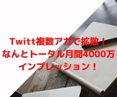 Twitter4000万インプで拡散します Twitterの複数アカ、月間4000万インプで宣伝します。