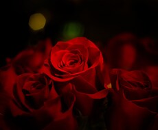 男女間の悩み特化♡にて潜在意識の変換します 恋愛って難しい！？ほんとにそう？？それ、思い込みじゃない？
