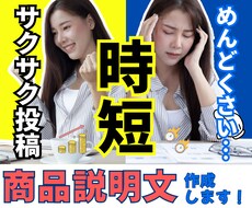 SNSアフィリ対応！商品説明文を作成いたします イメージ1