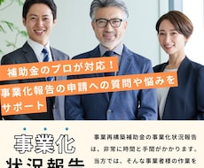 補助金のプロが「事業状況報告」の質問にお応えします 面倒な報告作業の悩みを解消し、申請完了までサポートします