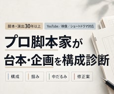 プロ脚本家が動画台本・企画を構成診断しますます イメージ1