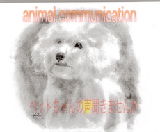 ペットちゃんとお話します ペットの本音を聞いてみませんか？