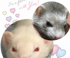 話したい方へ、好きなだけ話してください。 イメージ1