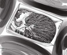 写真から似顔絵（人・ペット可）等イラスト描きます イメージ1