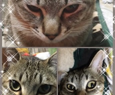 あなたのお悩みお聞ききします イメージ1