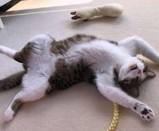 何でも聞きます イメージ1