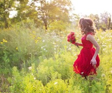 願いを叶えて楽になりたい！あの人の魂を霊視します ／恋愛、片思い、結婚、仕事、あの人の魂の声☆特別霊視鑑定☆