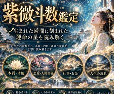 紫微斗数であなたの人生の精密鑑定します イメージ1