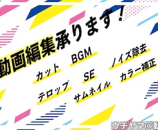 動画編集（カット/BGM/SE..etc）承ります イメージ1