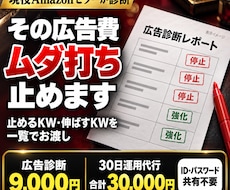 Amazon広告のムダを診断し運用代行します イメージ1